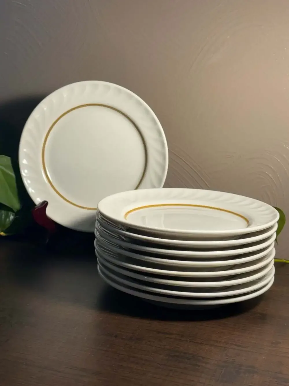 Jackson China Custom China Falls Creek PA Scalloped Edge Salad Plates (9)